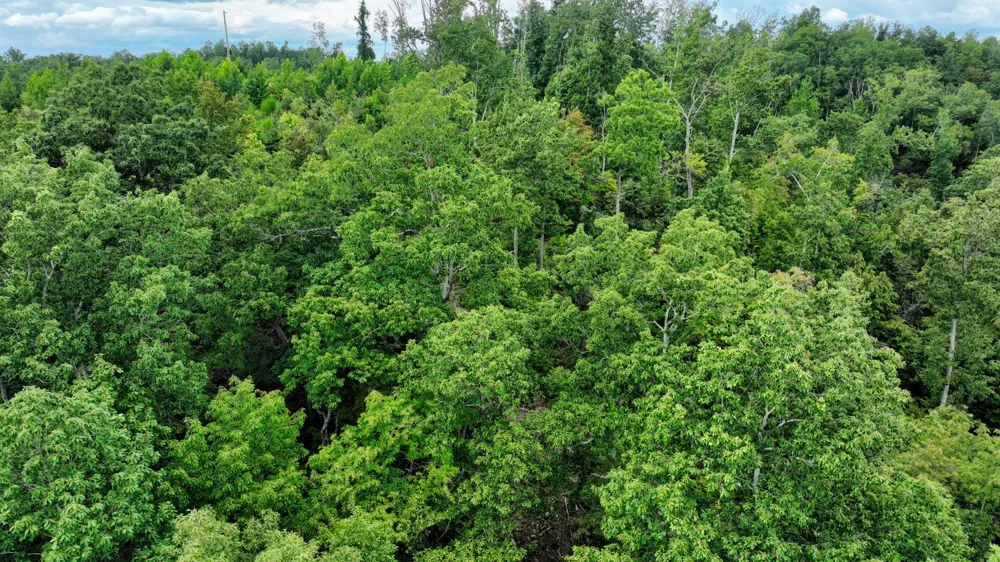 58 Ridge Top Rd Stewart, TN 37175