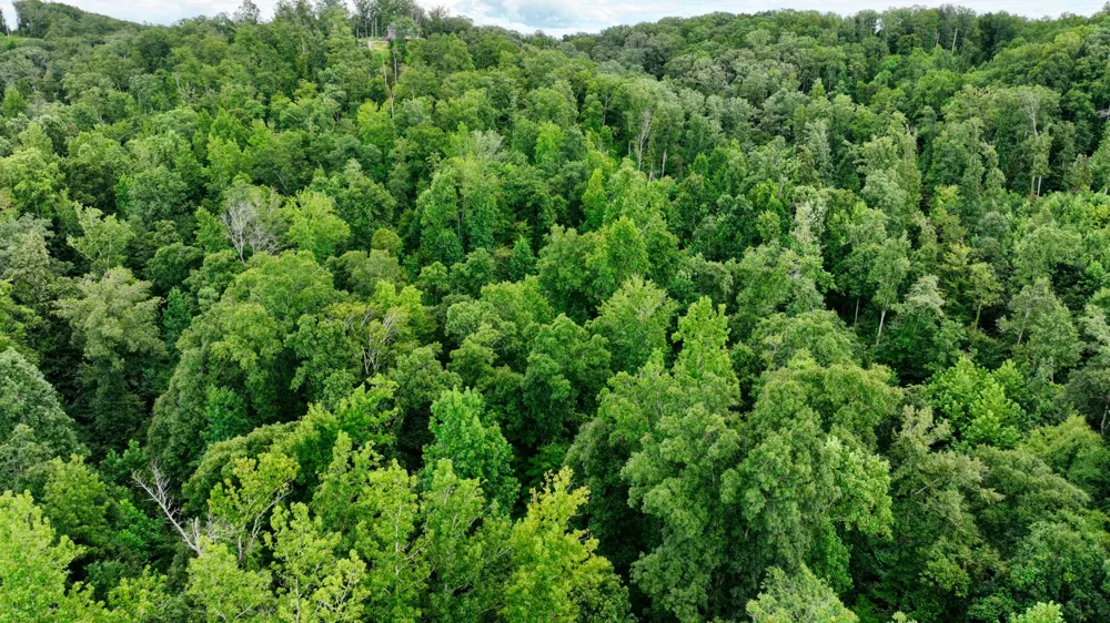 58 Ridge Top Rd Stewart, TN 37175