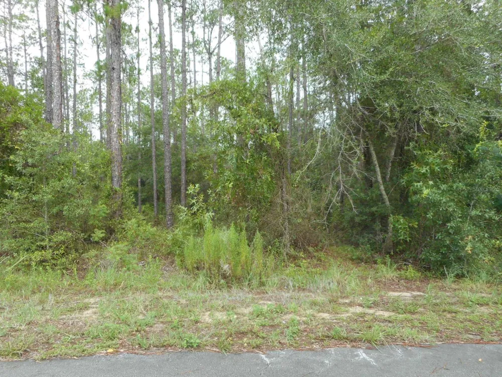 Lot 5 SW SOUTHVIEW COURT Dunnellon, FL 34431
