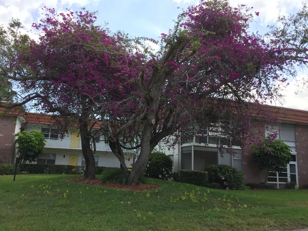 1225 NW 21st Street #2111 Stuart, FL 34994