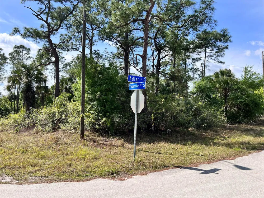 860 Adler Street E Lehigh Acres, FL 33974