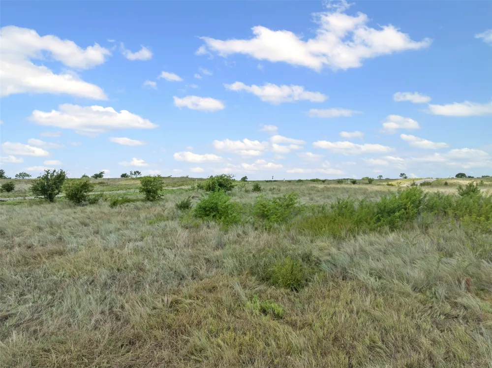3517 Bravery Drive Cresson, TX 76035
