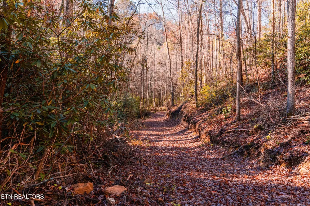 4903 Long Rifle Rd Walland, TN 37886