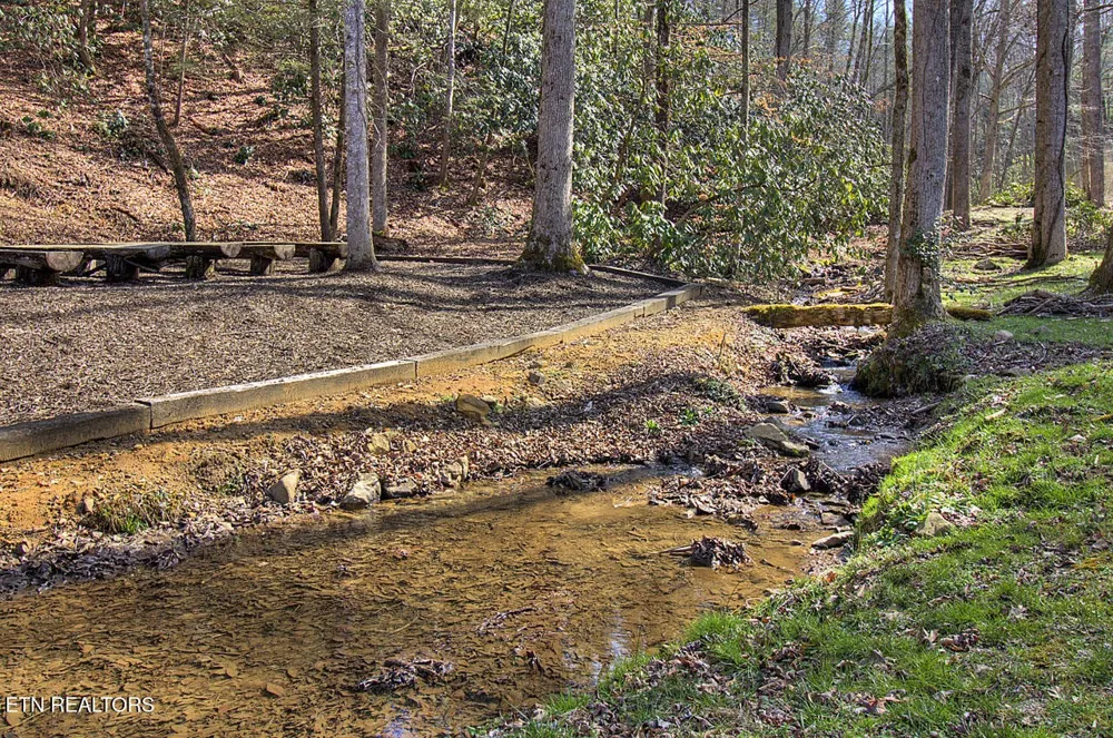 2050 E Millers Cove Rd Walland, TN 37886