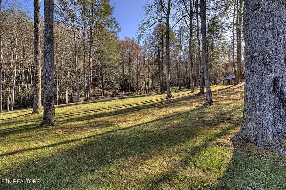 2050 E Millers Cove Rd Walland, TN 37886