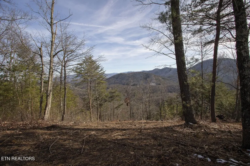 2050 E Millers Cove Rd Walland, TN 37886