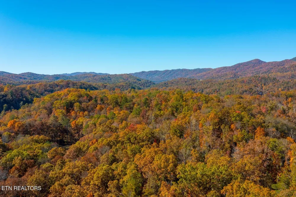2050 E Millers Cove Rd Walland, TN 37886