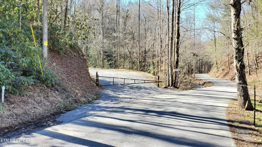 2000 E Millers Cove Rd Walland, TN 37886