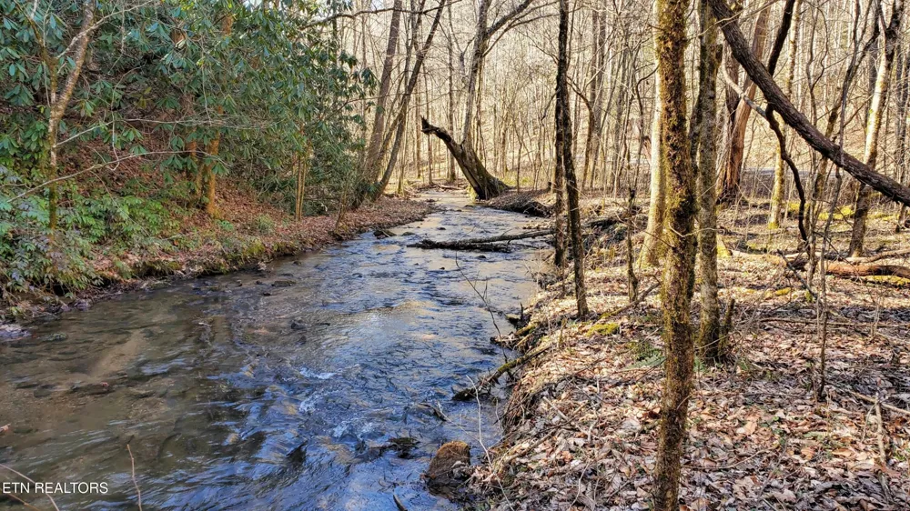 2000 E Millers Cove Rd Walland, TN 37886