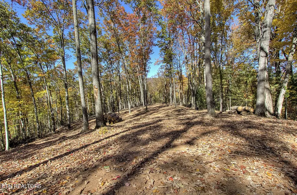 2000 E Millers Cove Rd Walland, TN 37886