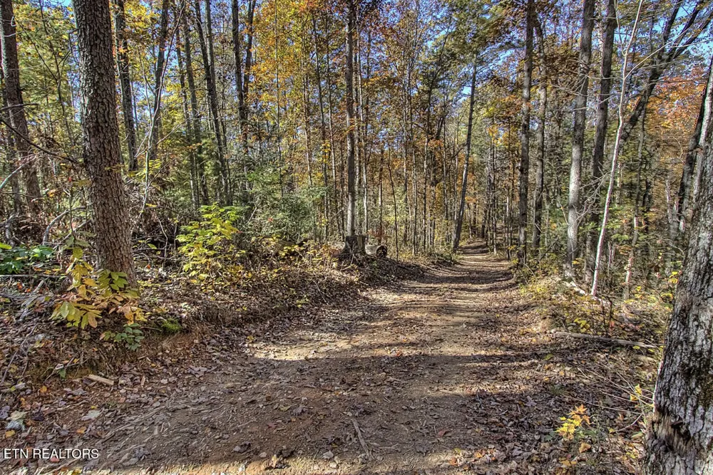 2000 E Millers Cove Rd Walland, TN 37886