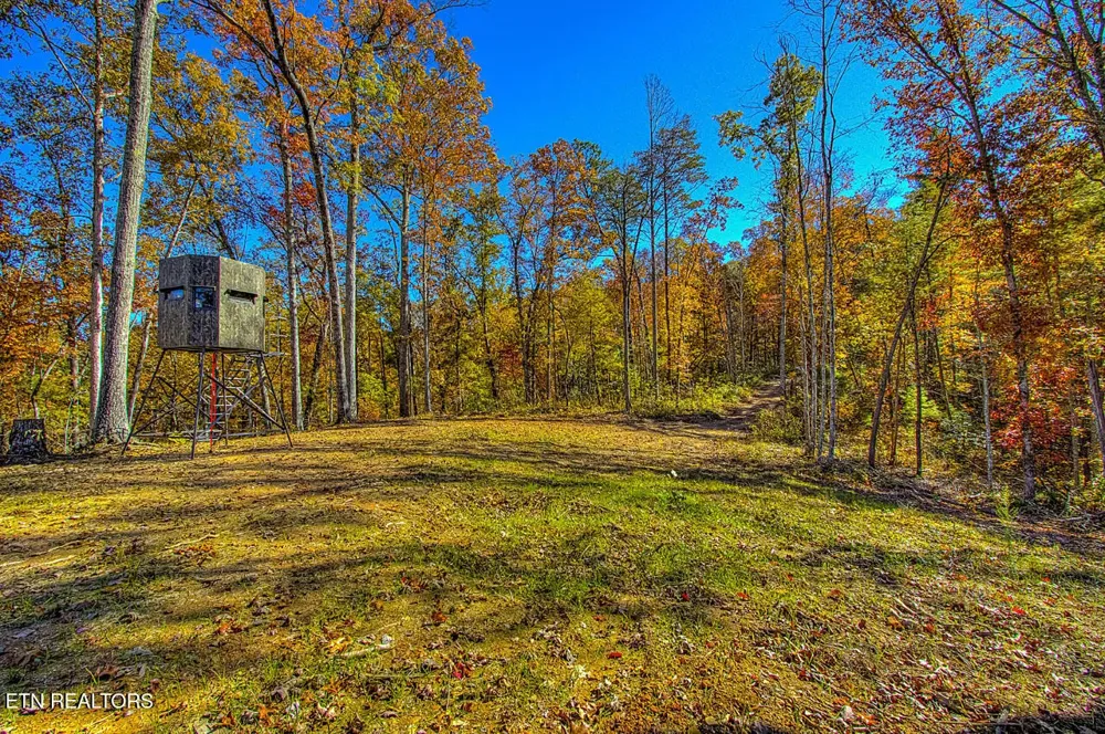2000 E Millers Cove Rd Walland, TN 37886