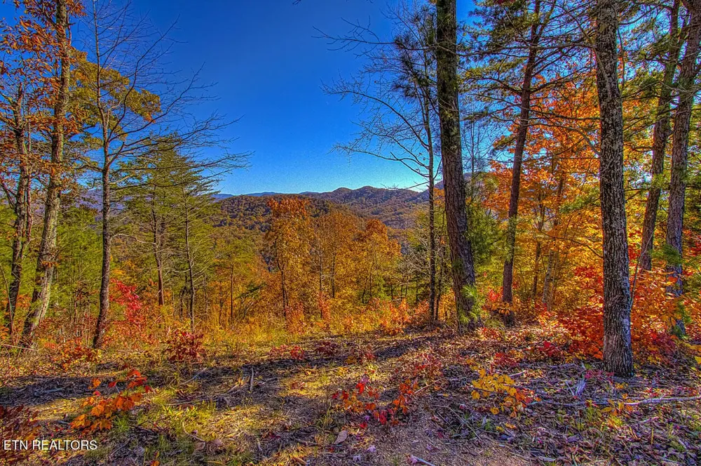 2000 E Millers Cove Rd Walland, TN 37886