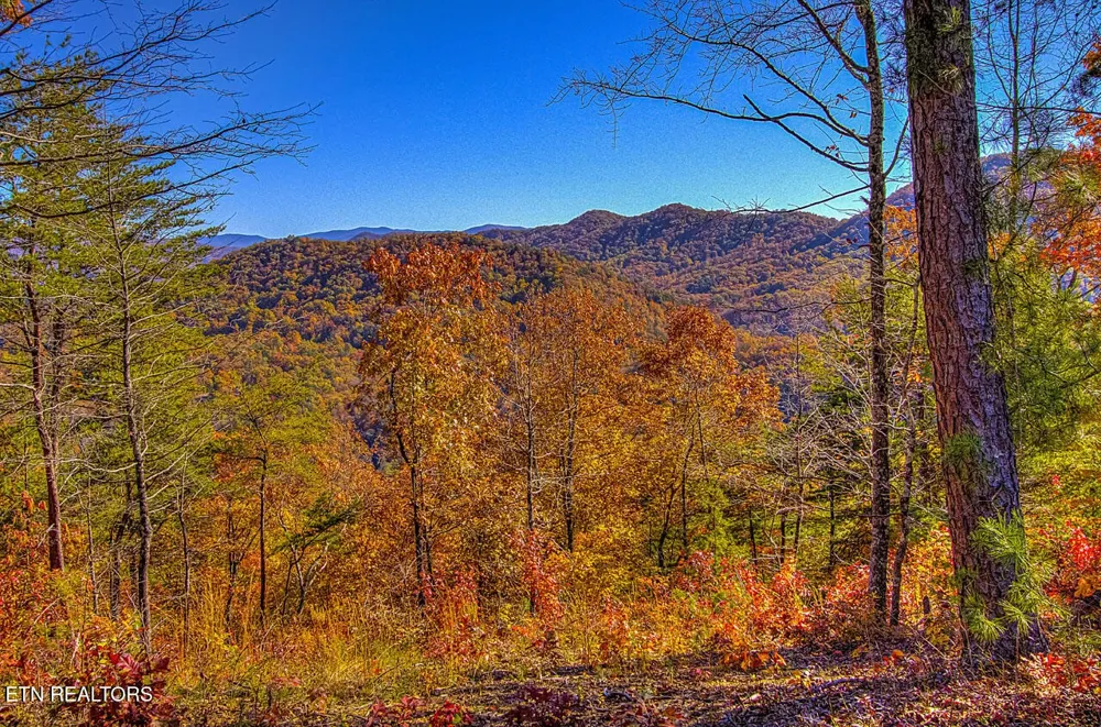 2000 E Millers Cove Rd Walland, TN 37886