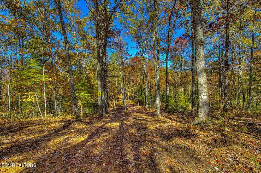 2000 E Millers Cove Rd Walland, TN 37886