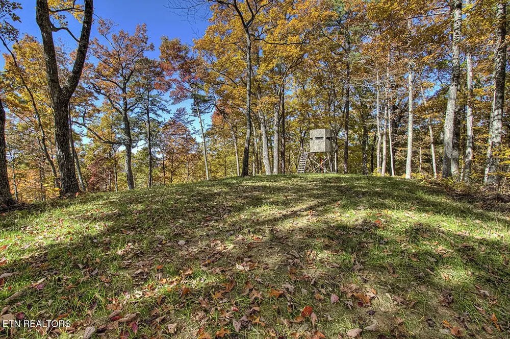 2000 E Millers Cove Rd Walland, TN 37886