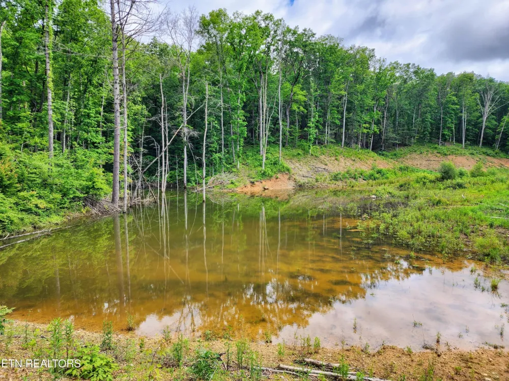 2000 E Millers Cove Rd Walland, TN 37886