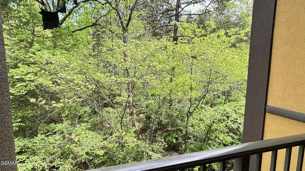 225 Collier Drive #UNIT 1313 Sevierville, TN 37862