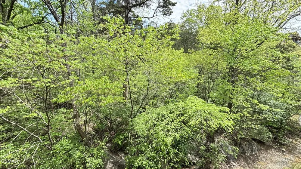 225 Collier Drive #UNIT 1313 Sevierville, TN 37862