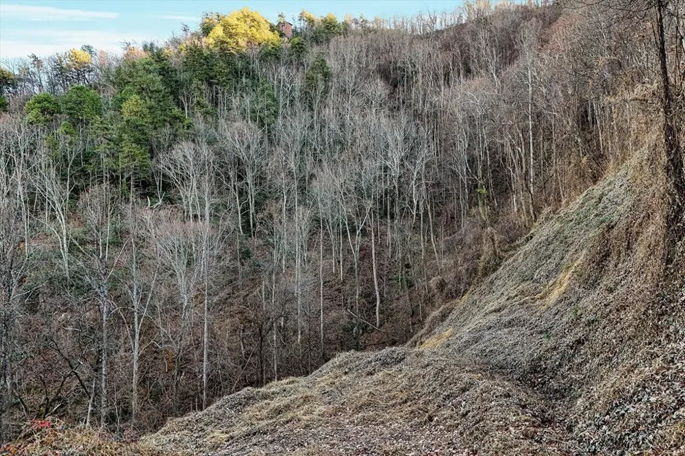 67 Balsam Slopes Road Sevierville, TN 37862