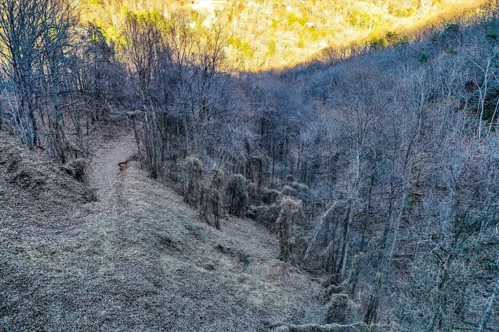 67 Balsam Slopes Road Sevierville, TN 37862