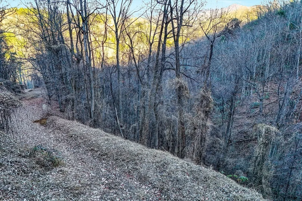67 Balsam Slopes Road Sevierville, TN 37862