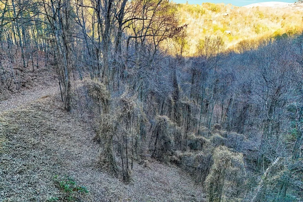 67 Balsam Slopes Road Sevierville, TN 37862