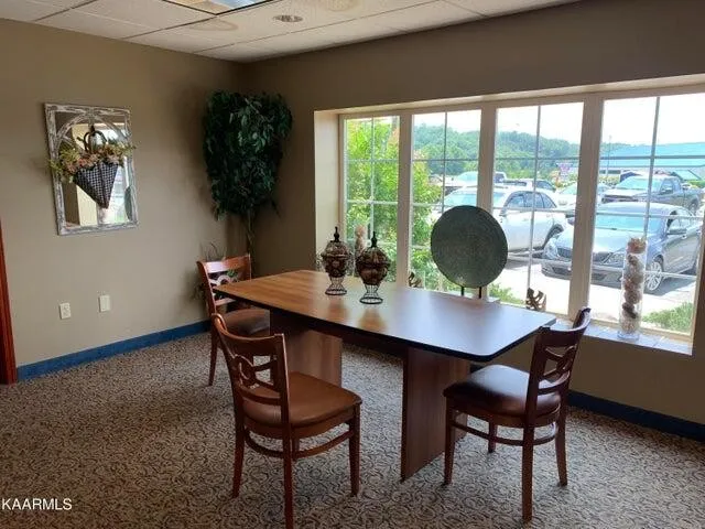 225 Collier Road #1119 Sevierville, TN 37862