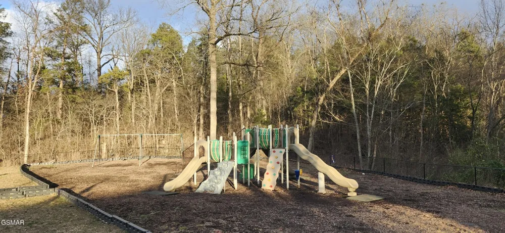 225 Collier Road #1119 Sevierville, TN 37862