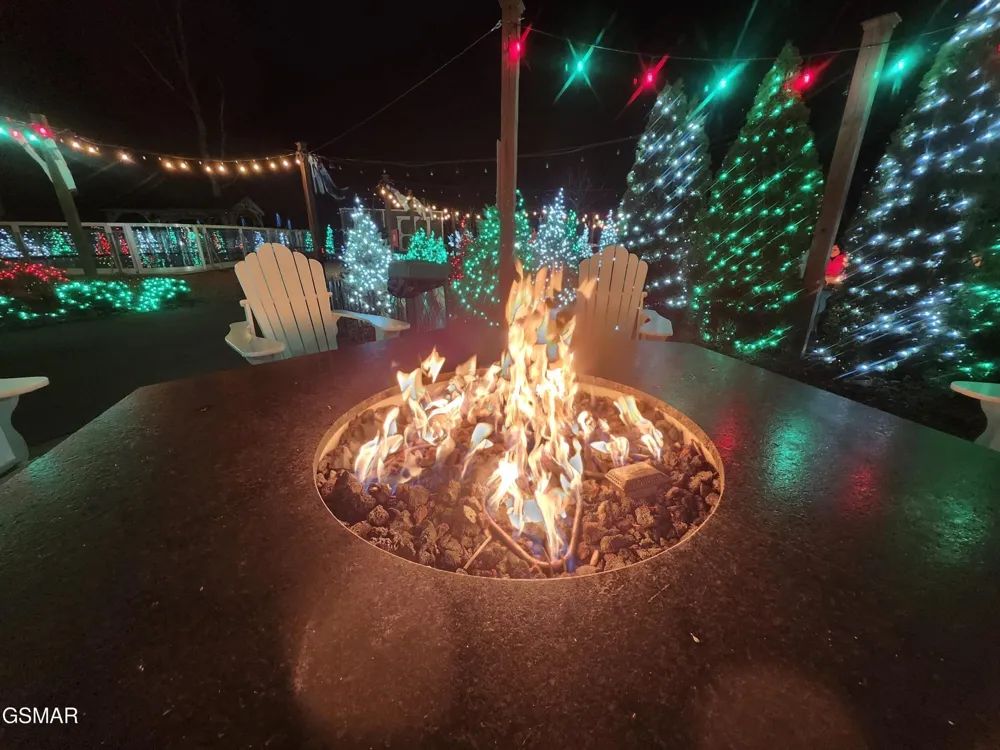 225 Collier Road #1119 Sevierville, TN 37862