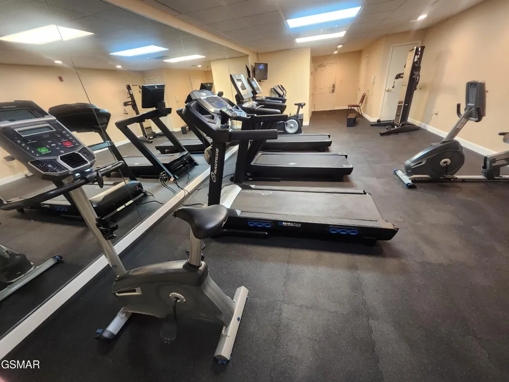 225 Collier Road #1119 Sevierville, TN 37862
