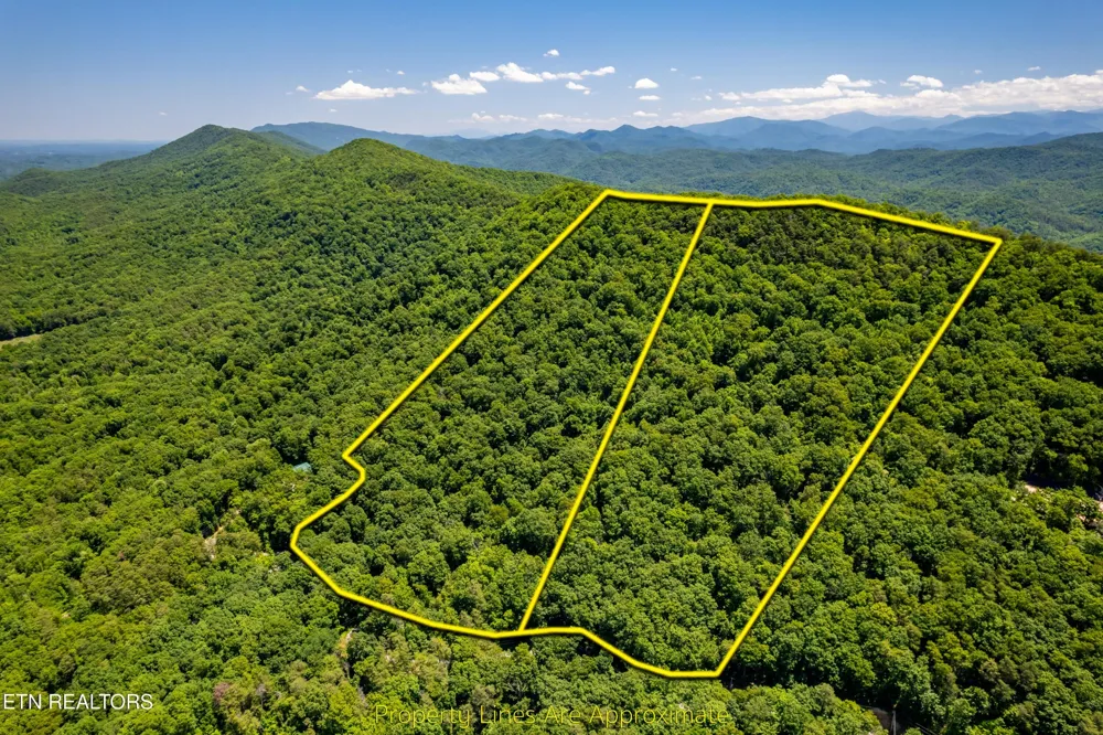 0 Butterfly Gap Rd Maryville, TN 37803