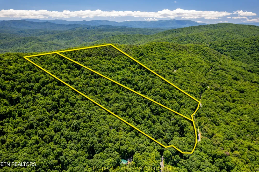 0 Butterfly Gap Rd Maryville, TN 37803
