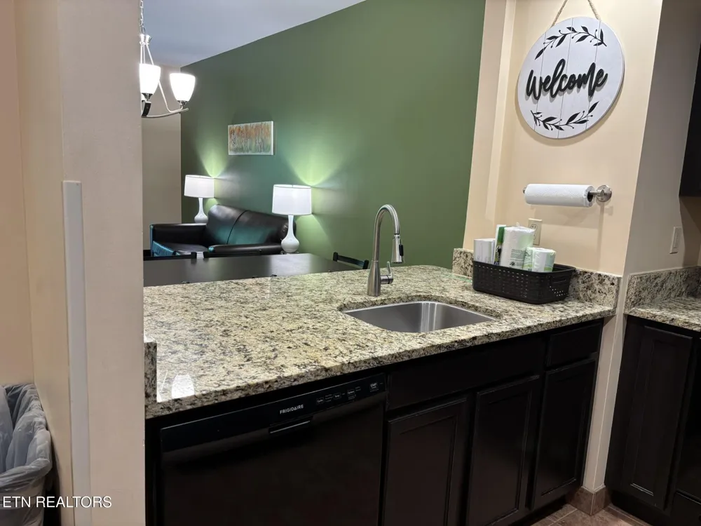 225 Collier Drive #1313 Sevierville, TN 37862