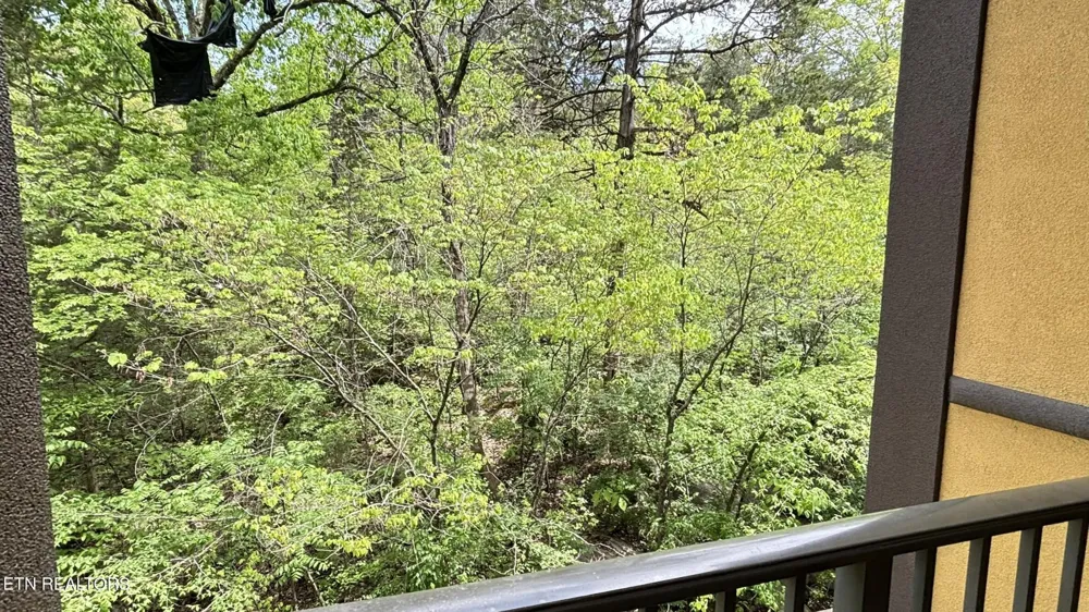 225 Collier Drive #1313 Sevierville, TN 37862