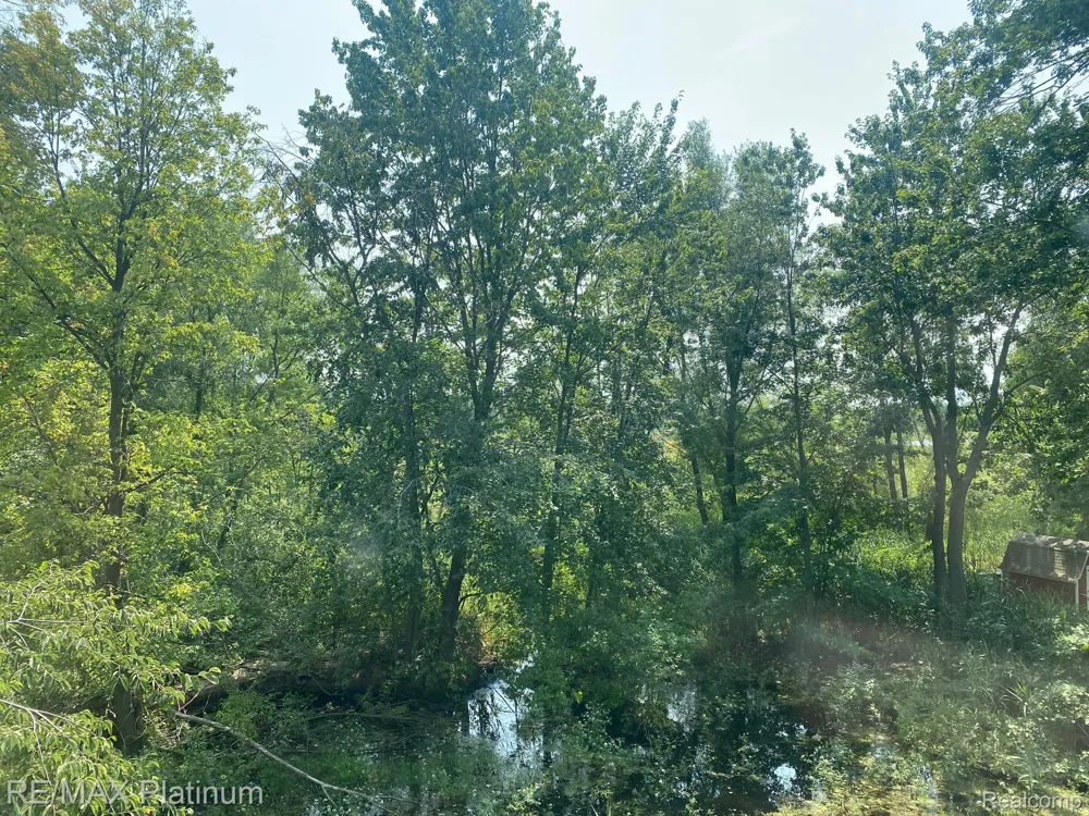2327 Hammerslea Road Orion Charter Township, MI 48359
