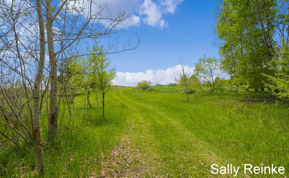 9 Mile Road Reed City, MI 49677