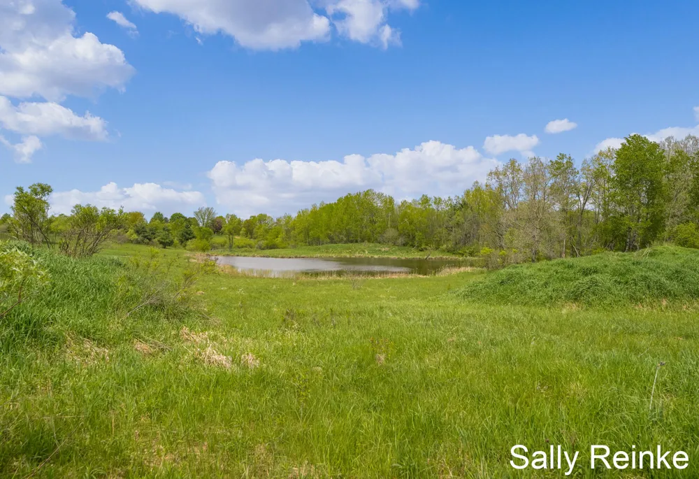 9 Mile Road Reed City, MI 49677