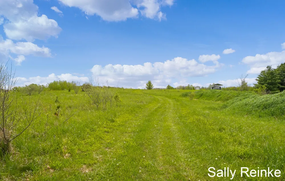 9 Mile Road Reed City, MI 49677