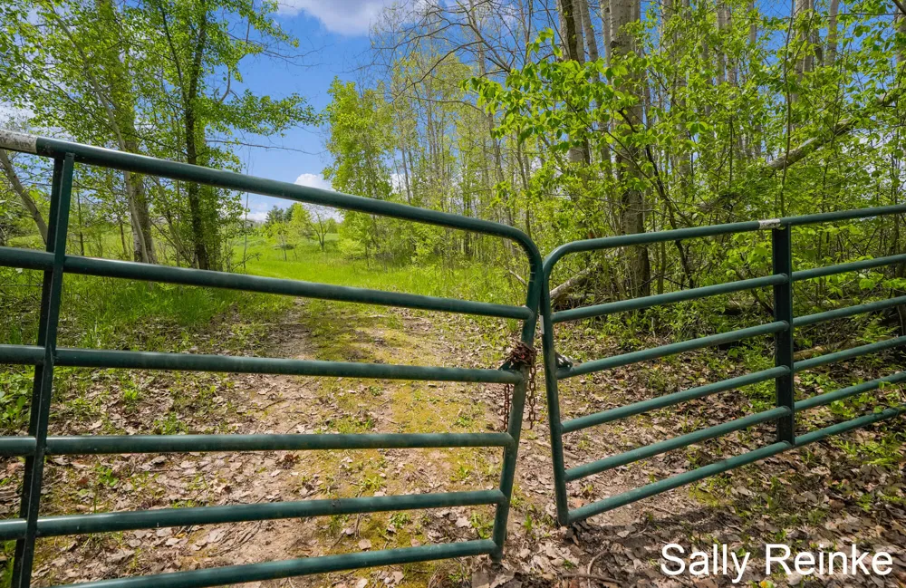 9 Mile Road Reed City, MI 49677