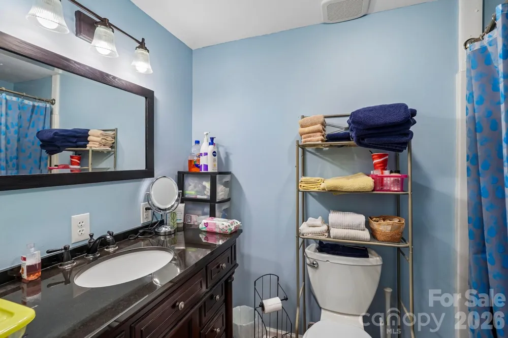 210 Leigh Anne Lane Horse Shoe, NC 28742