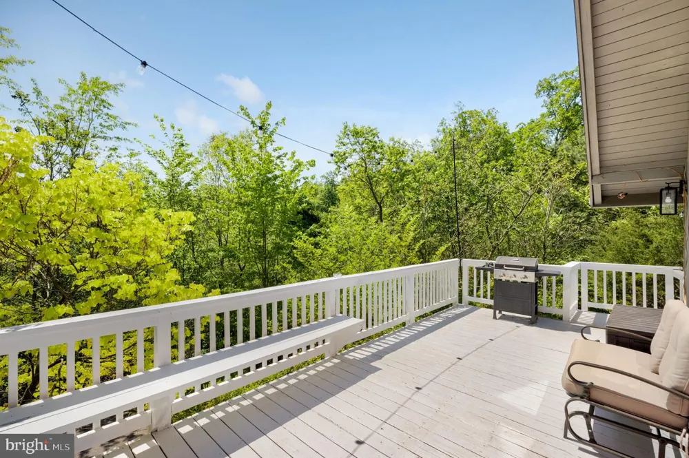 304 HOLLY RIDGE ROAD Mount Jackson, VA 22842