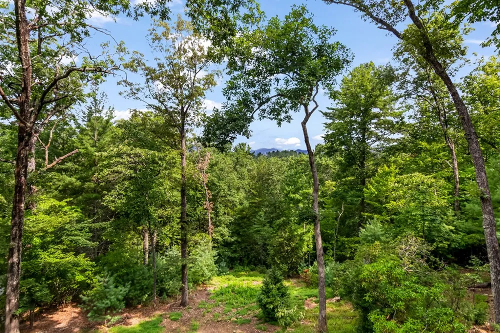 236 Hooch Holler Lane Morganton, GA 30560