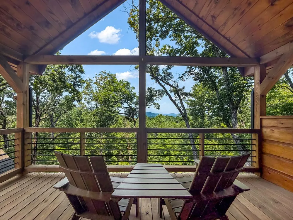 236 Hooch Holler Lane Morganton, GA 30560