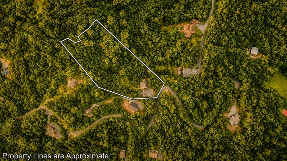 236 Hooch Holler Lane Morganton, GA 30560