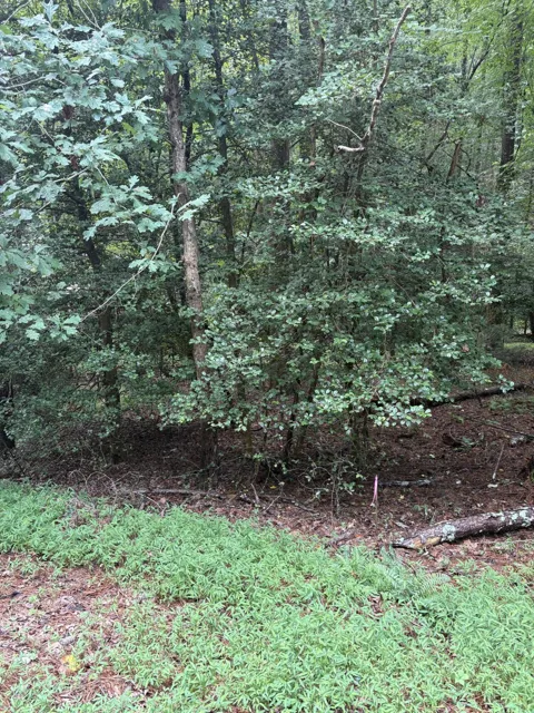 308 Creekside Trail