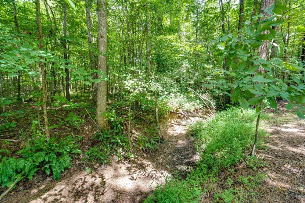 5109 Jackson Road Apison, TN 37302