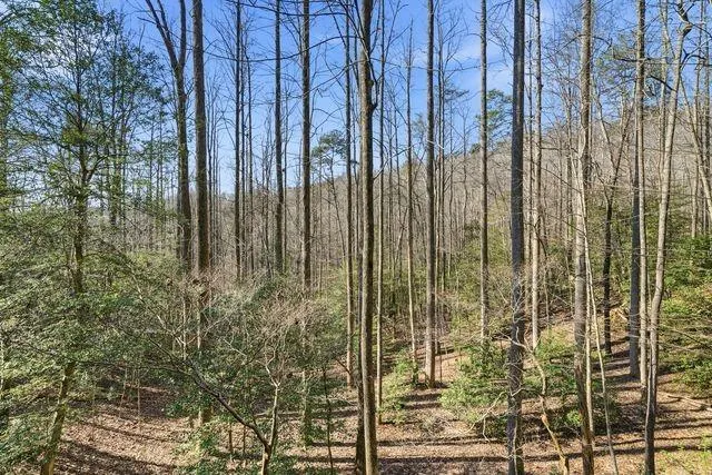 266 Chimney Rock Road Cherry Log, GA 30522
