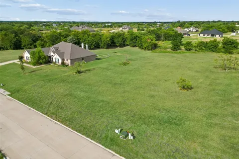 6232 Turkey Oak
