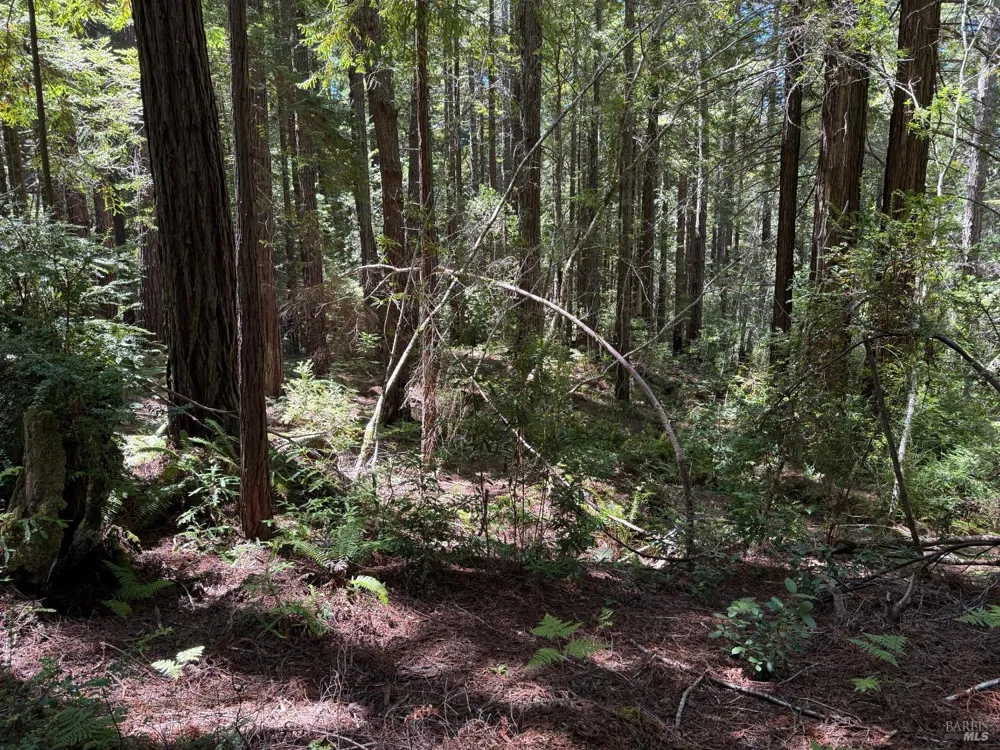 35206 Fly Cloud Road The Sea Ranch, CA 95497